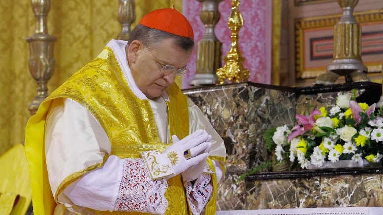 The Badger Catholic: Air Maria: Cardinal Burke celebrates Pontifical TLM in Italy